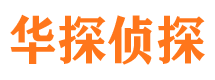 秀峰市侦探调查公司